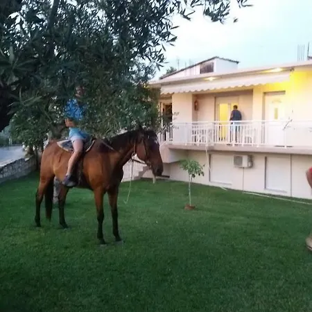 Dimitra's Metaggitsi Aparthotel