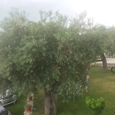 Aparthotel Dimitra's Metaggitsi Metagkitsi